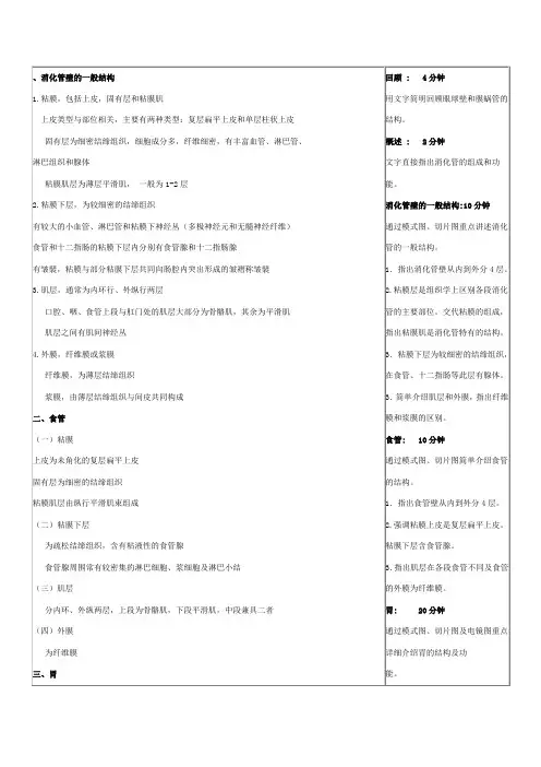 消化管壁的一般结构