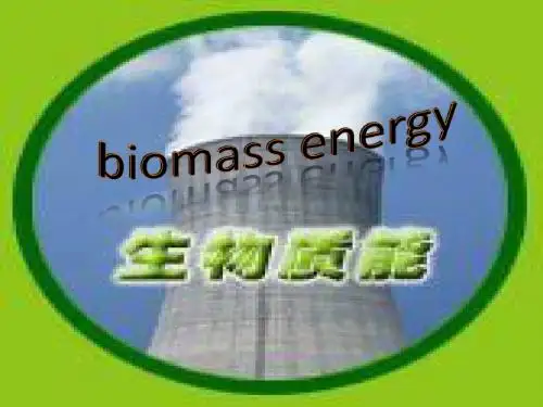 生物质能