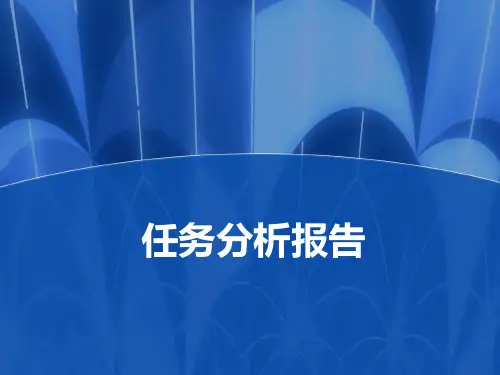 任务分析报告