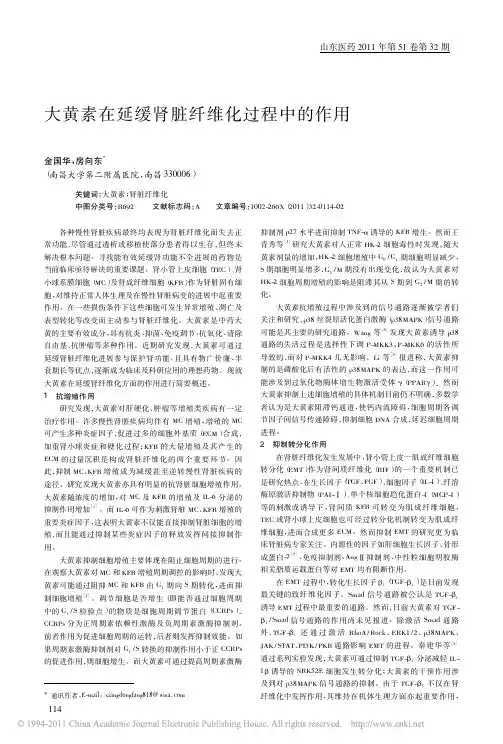大黄素在延缓肾脏纤维化过程中的作用
