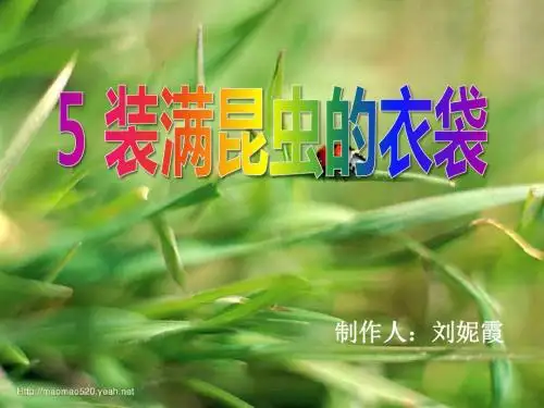 装满昆虫的衣袋课件