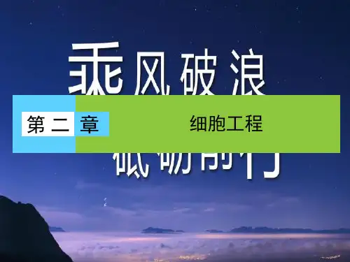 高中生物第二章细胞工程第1节细胞工程概述课件苏教版选修