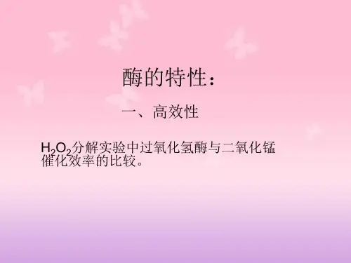 16、酶的特性