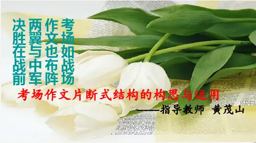 片断式结构作文指导