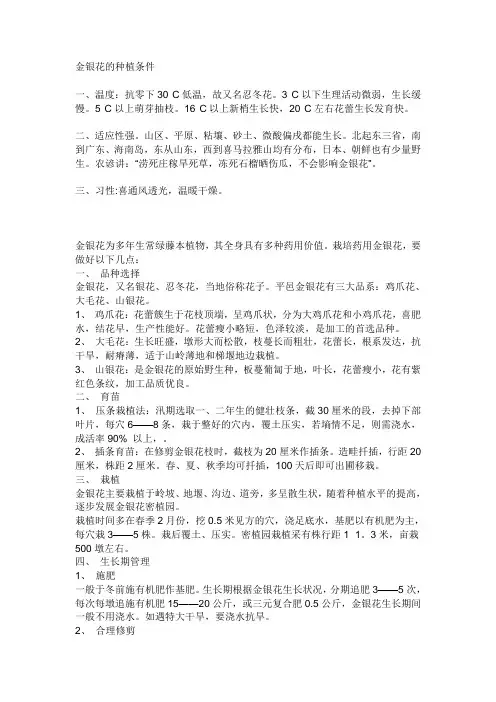 金银花