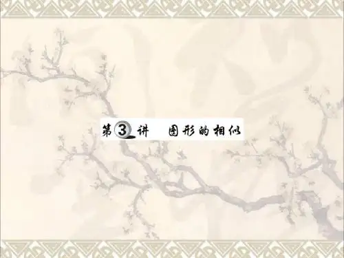 中考数学总复习第一轮基础知识复习第七章图形的变化第3讲图形的相似讲解本课件