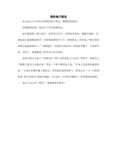 我的兔子朋友_小学作文