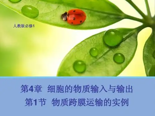 4.1 物质跨膜运输的实例(二)