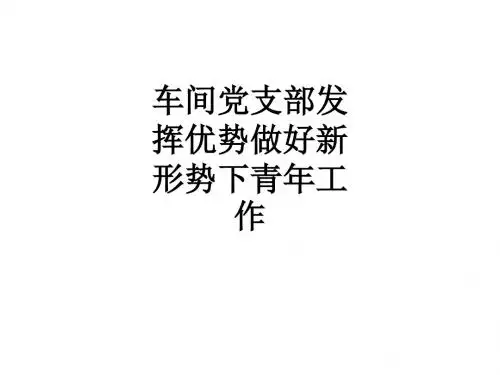 车间党支部发挥优势做好新形势下青年工作ppt课件