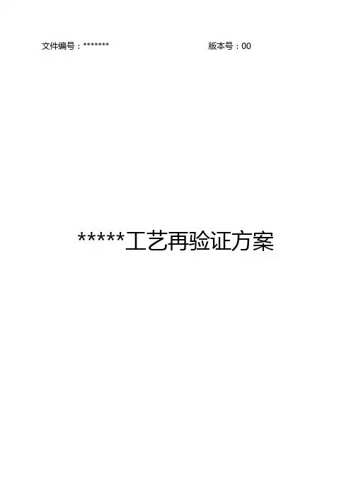 工艺验证方案