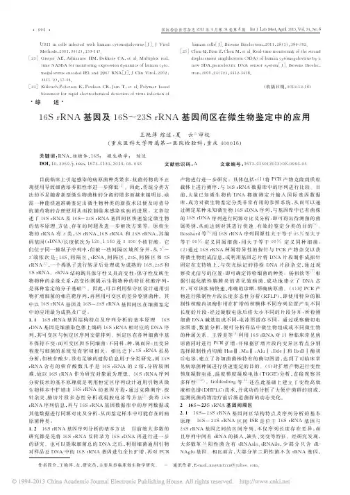 16SrRNA基因及16S_23_省略_NA基因间区在微生物鉴定中的应用_王艳萍