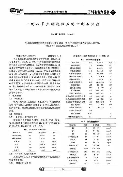 一例八哥犬膀胱结石的诊断与治疗