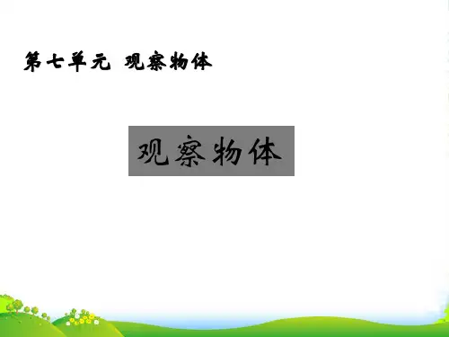 苏教版二年级数学上册七观察物体从前后左右观察物体课件