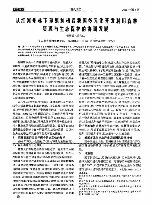 从红河州林下草果种植看我国多元化开发利用森林资源与生态保护的