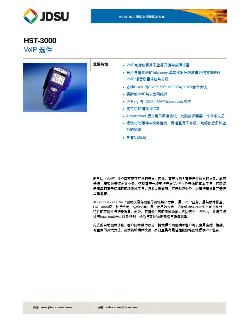 HST-3000_VoIP_DS_CN
