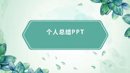 个人总结PPT
