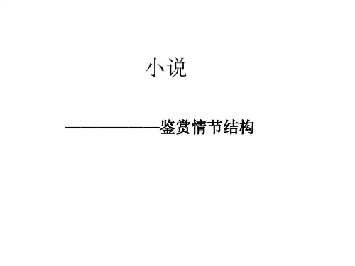 分析小说情节结构