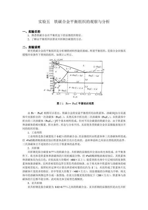实验五++铁碳合金平衡组织的观察与分析