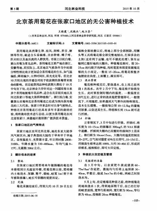 北京茶用菊花在张家口地区的无公害种植技术