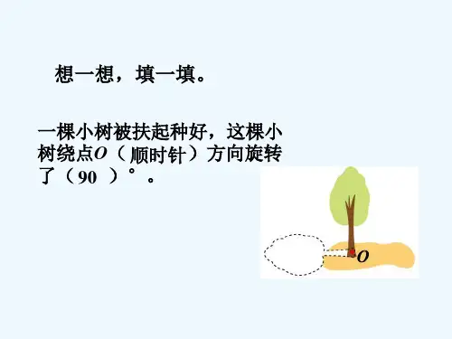 想一想,填一填_图形的旋转(一)