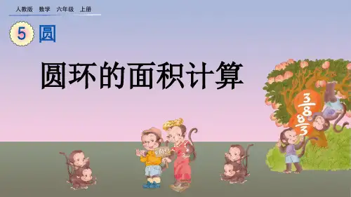 人教版六年级数学上册第5单元圆第4课时 环形面积