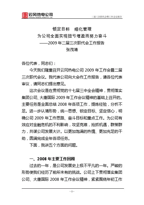 09总经理工作报告