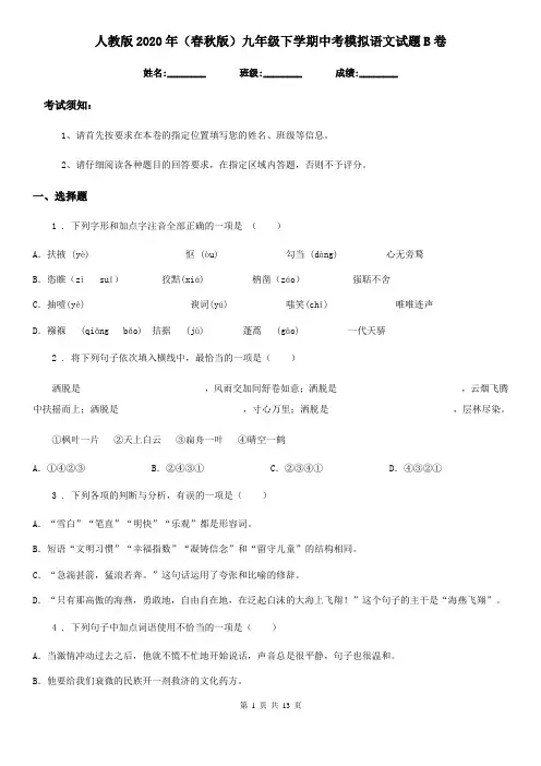 人教版2020年(春秋版)九年级下学期中考模拟语文试题B卷