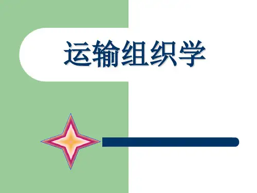运输组织学ppt