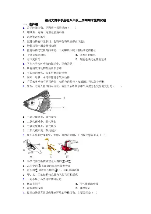 福州文博中学生物八年级上学期期末生物试题