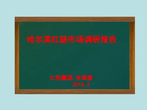 某红肠市场调研报告ppt课件(34张)
