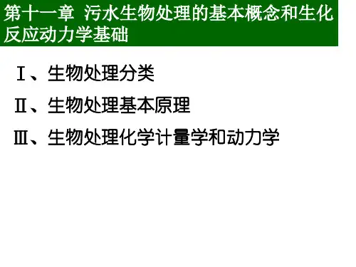 水污染控制工程：第十一章  污水生物处理的基本概念和生化反应动力学基础