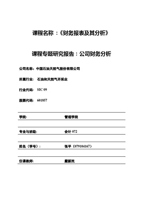 中石油财务分析报告000