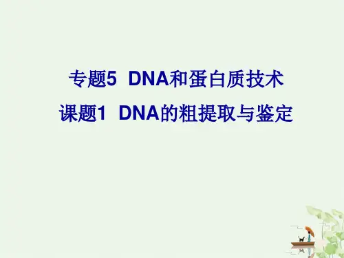 (人教版)DNA的粗提取与鉴定PPT教学课件1