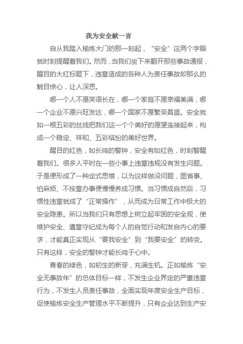 我为安全献一言