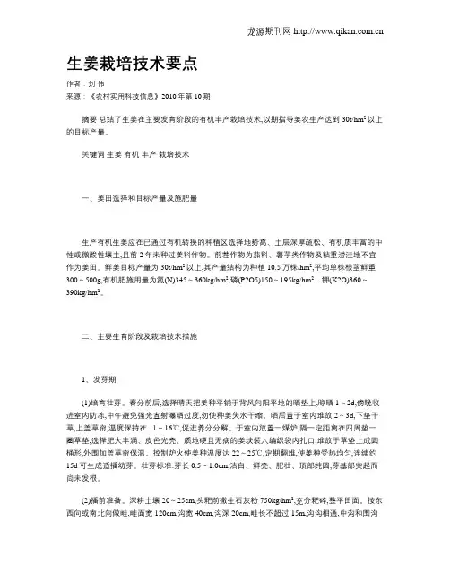 生姜栽培技术要点