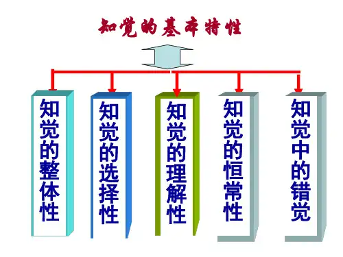 感觉知觉特征