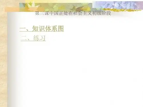 初级阶段