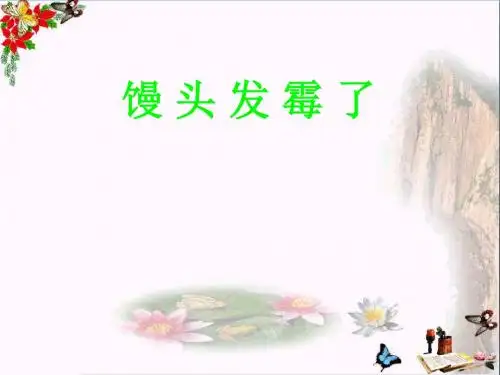 六年级科学上册馒头发霉了ppt课件2苏教版