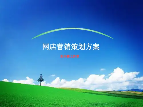 网店营销策划方案