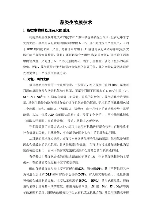 藻类处理氮磷和重金属废水