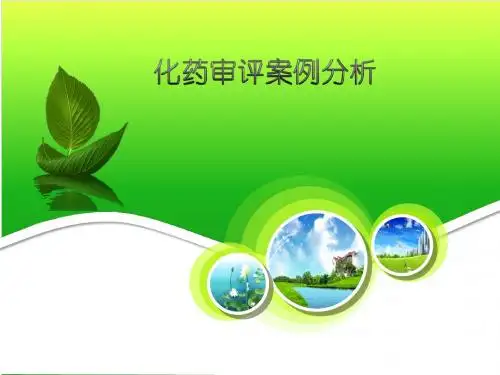 石家庄-化药审评案例分析