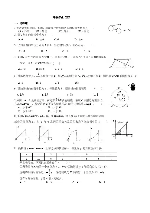 九年级数学寒假作业(三)