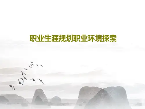 职业生涯规划职业环境探索共70页