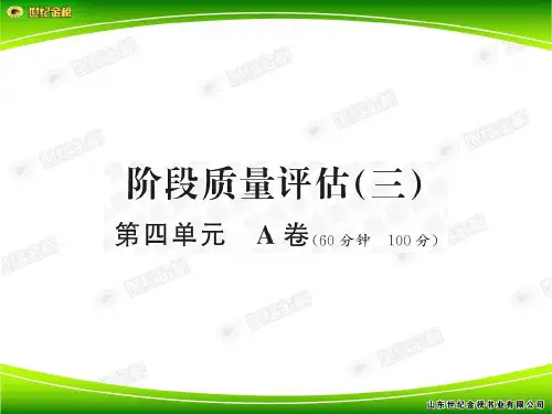 阶段质量评估(三)