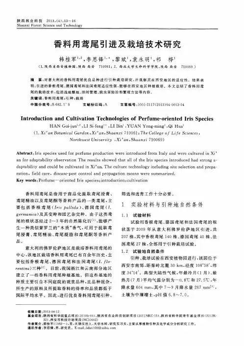 香料用鸢尾引进及栽培技术研究