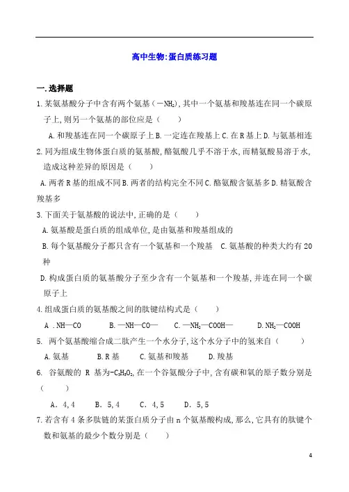 高中生物：蛋白质练习题