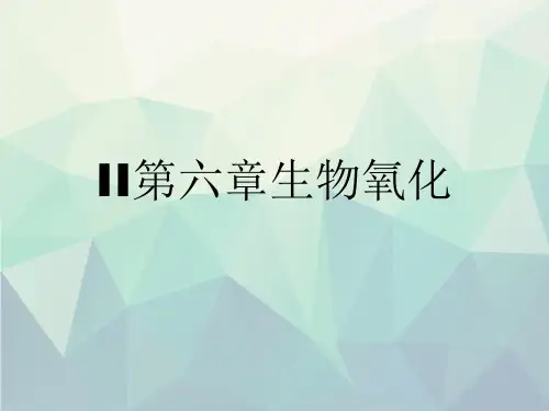 II第六章生物氧化