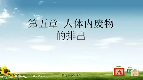 精选-七年级生物下册4.5人体内废物的排出课件新版新人教版