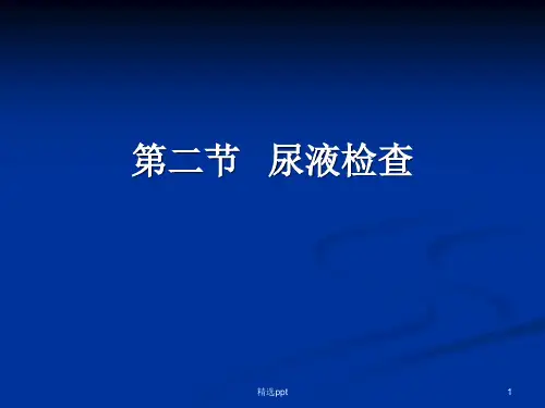 尿液检查PPT课件