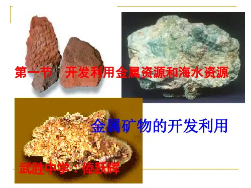 化学：4.1《开发利用金属矿物和海水资源》课件(2)(新人教版必修2)